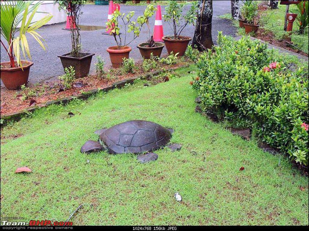 Abad Turtle Beach Mararikulam Exterior foto